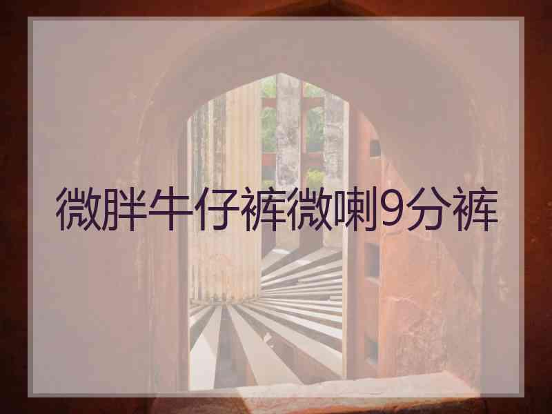 微胖牛仔裤微喇9分裤