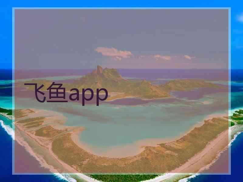 飞鱼app