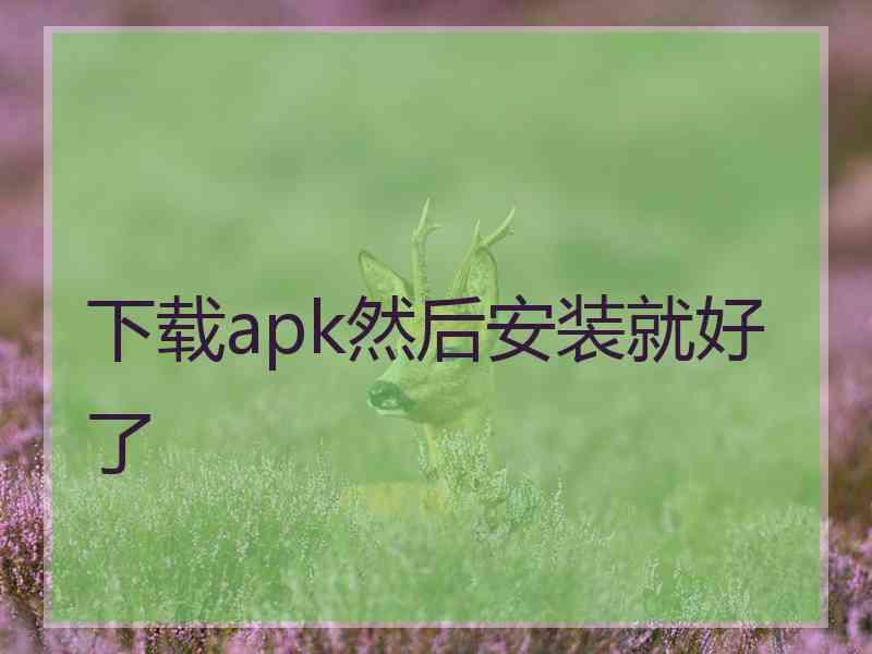 下载apk然后安装就好了