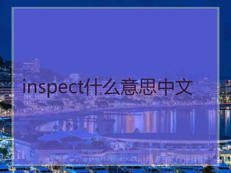 inspect什么意思中文