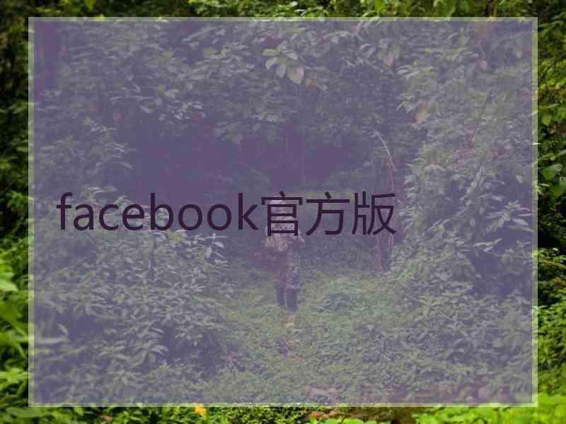 facebook官方版