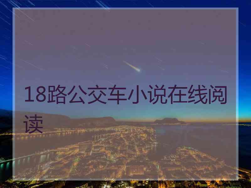 18路公交车小说在线阅读