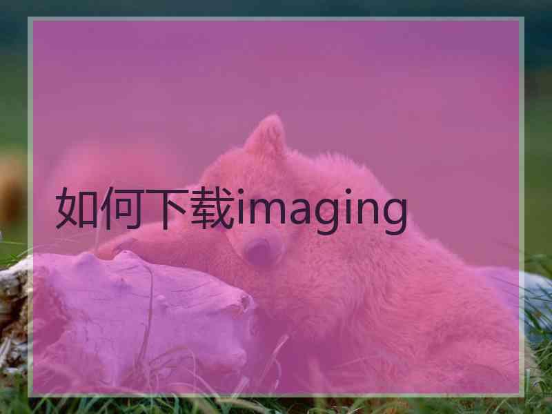 如何下载imaging