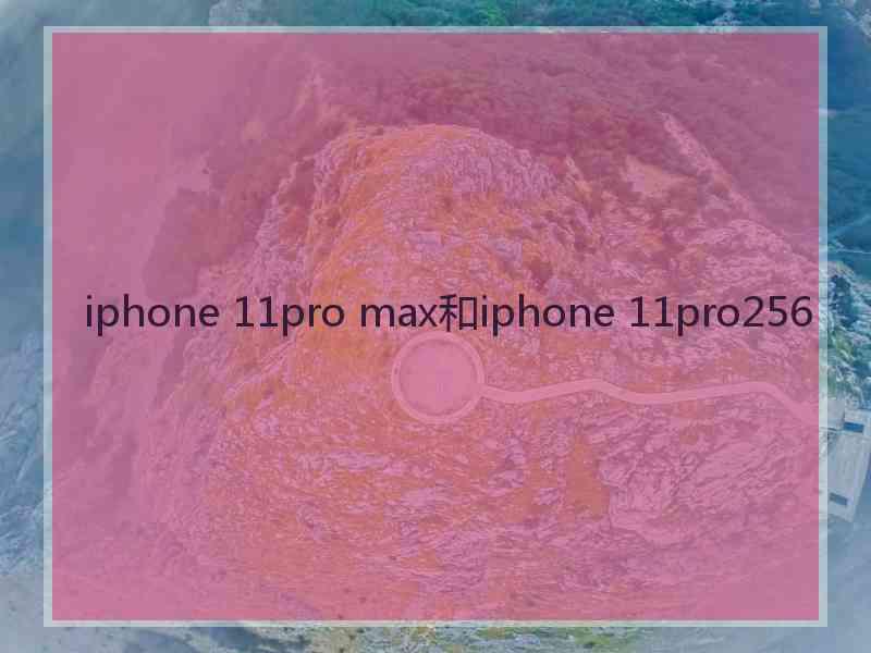 iphone 11pro max和iphone 11pro256