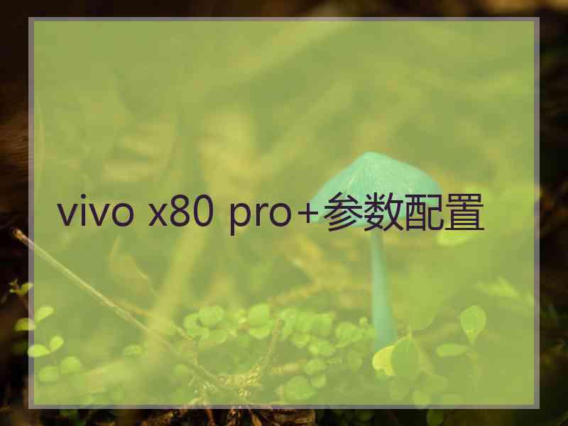 vivo x80 pro+参数配置