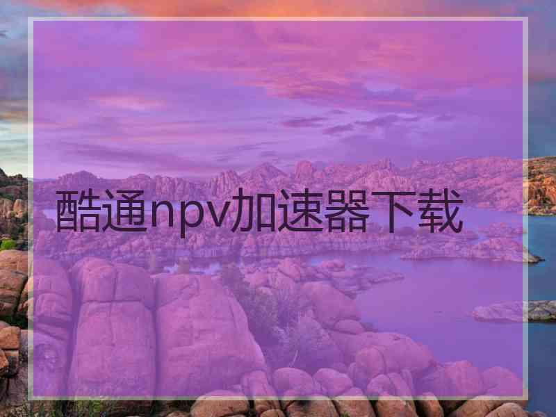 酷通npv加速器下载