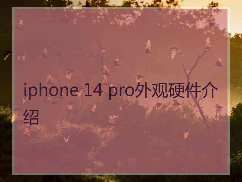 iphone 14 pro外观硬件介绍