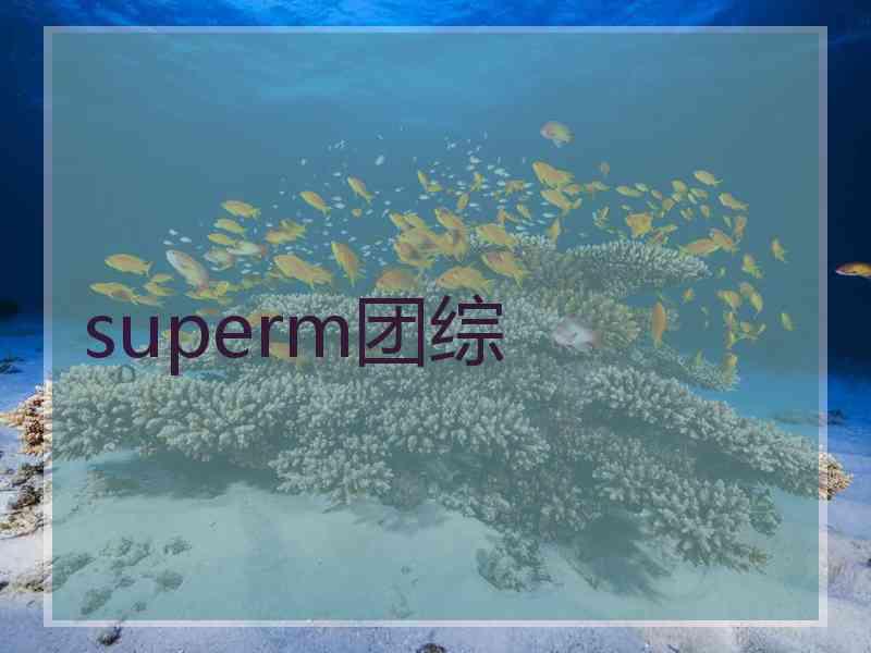 superm团综