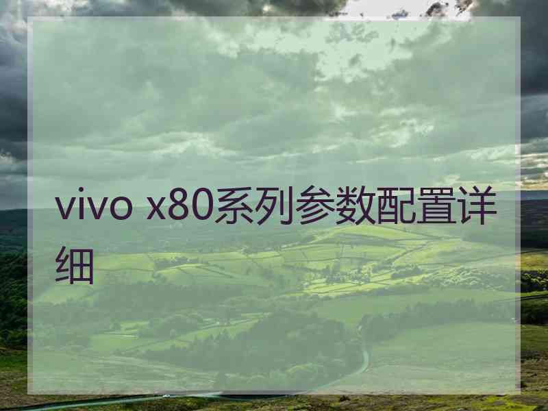 vivo x80系列参数配置详细