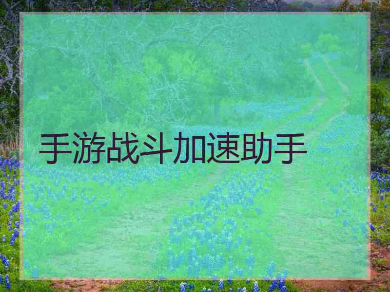 手游战斗加速助手