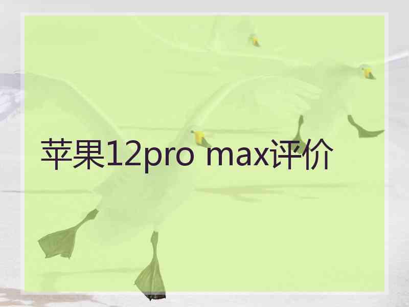 苹果12pro max评价