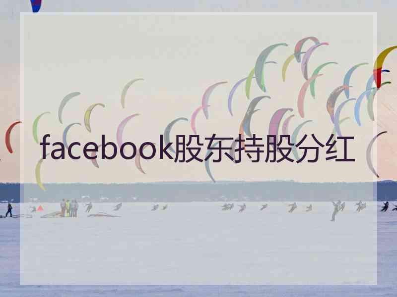 facebook股东持股分红