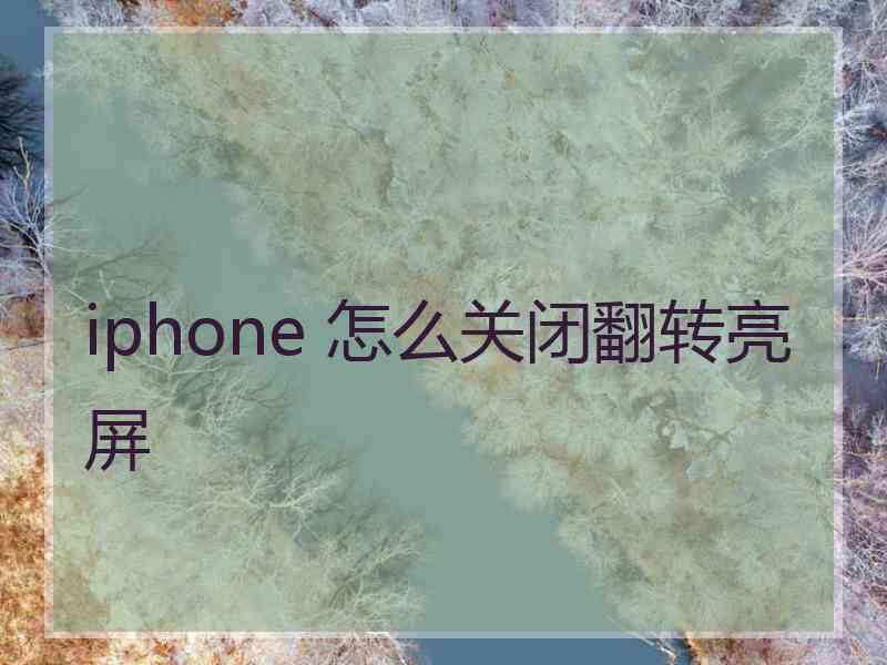 iphone 怎么关闭翻转亮屏