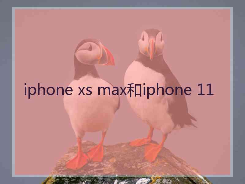 iphone xs max和iphone 11