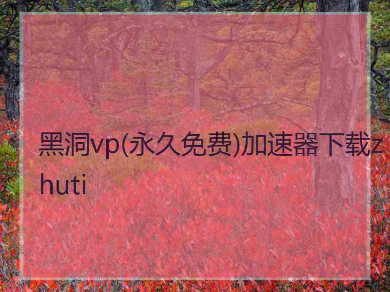 黑洞vp(永久免费)加速器下载zhuti