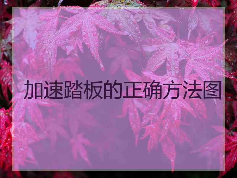 加速踏板的正确方法图