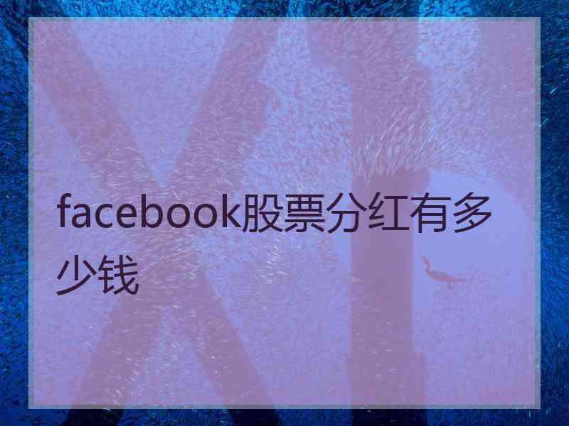 facebook股票分红有多少钱