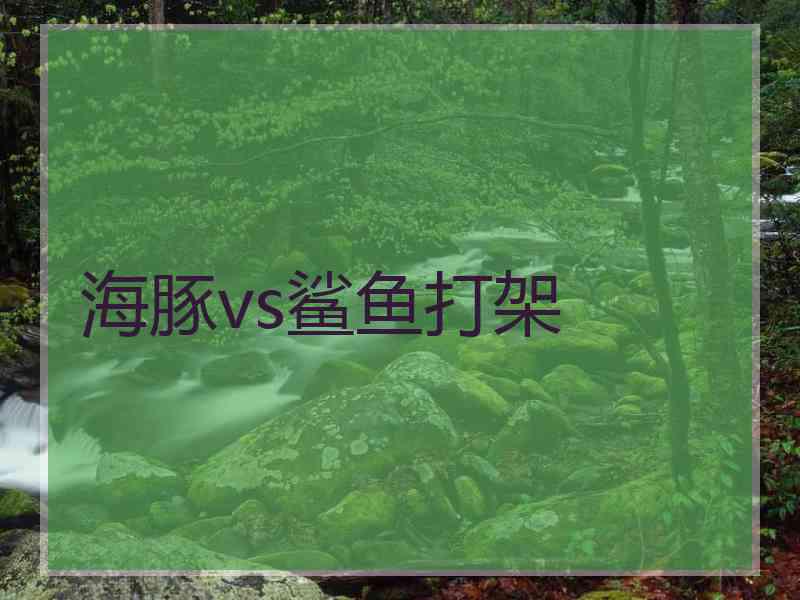 海豚vs鲨鱼打架