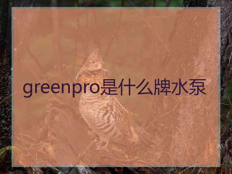 greenpro是什么牌水泵