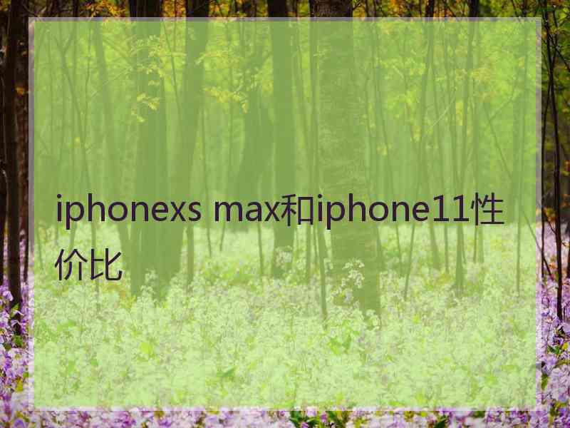 iphonexs max和iphone11性价比