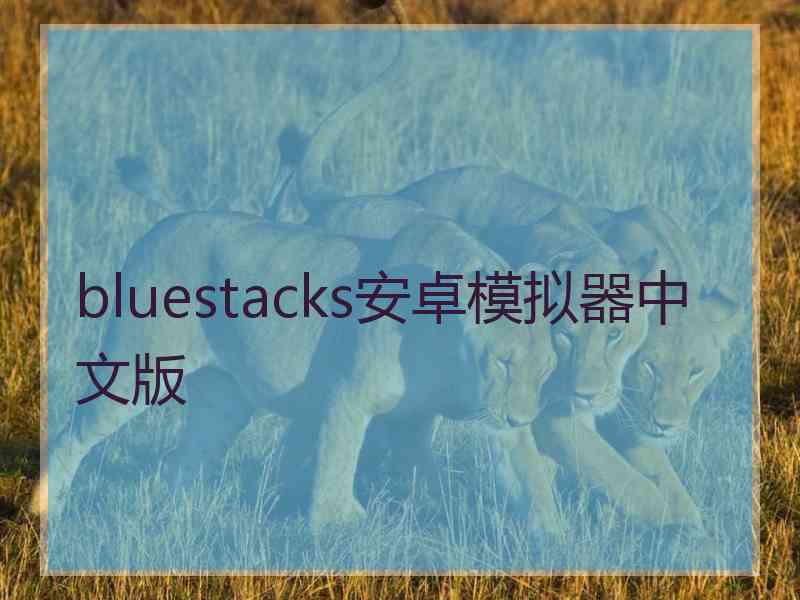 bluestacks安卓模拟器中文版