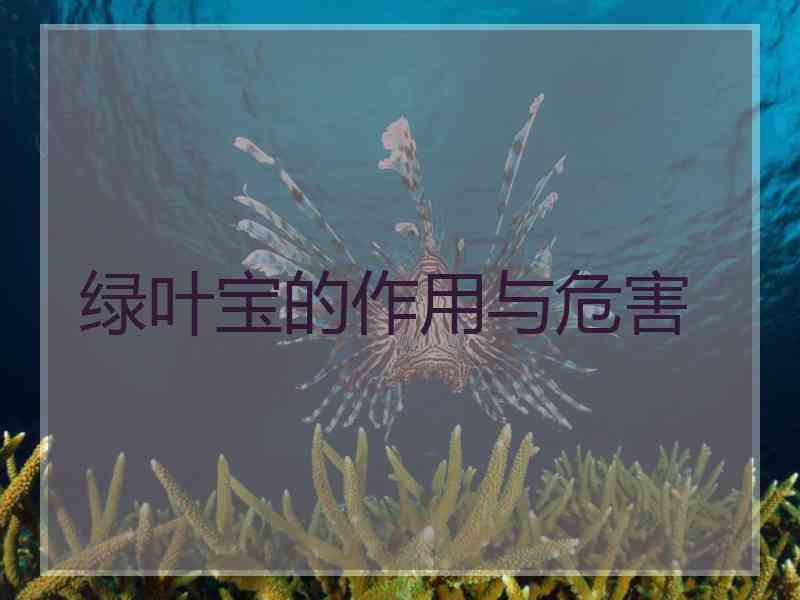 绿叶宝的作用与危害