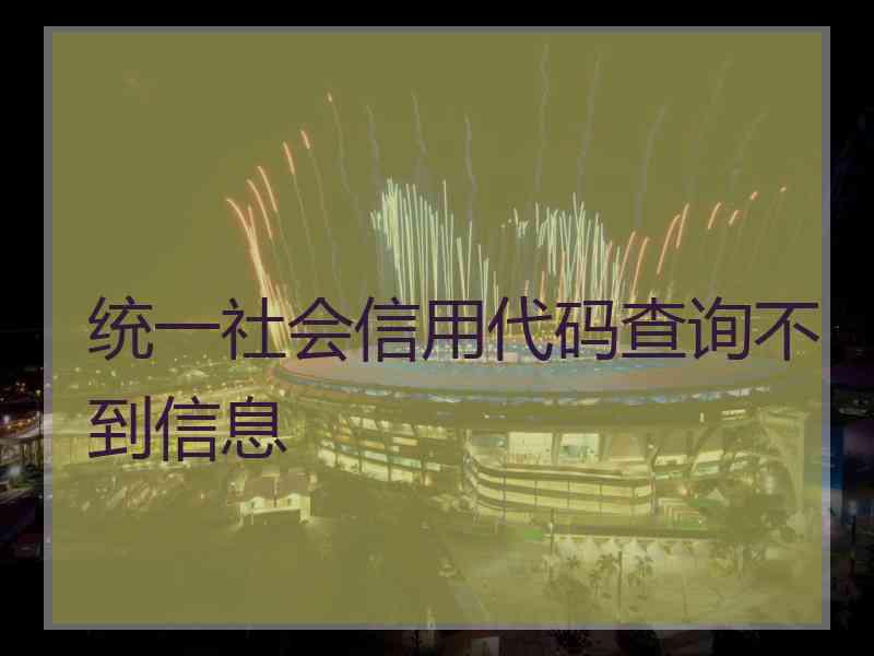 统一社会信用代码查询不到信息