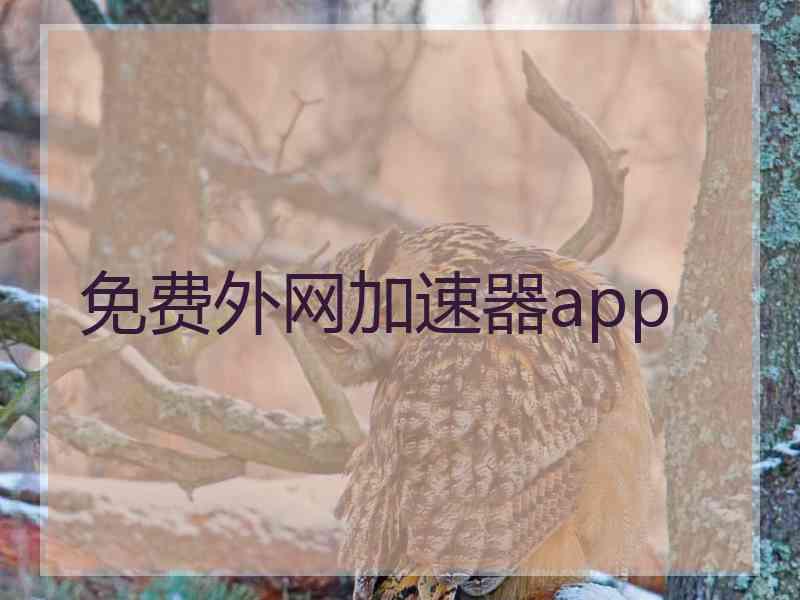 免费外网加速器app