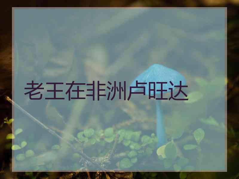 老王在非洲卢旺达