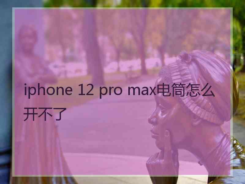 iphone 12 pro max电筒怎么开不了