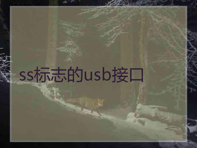 ss标志的usb接口