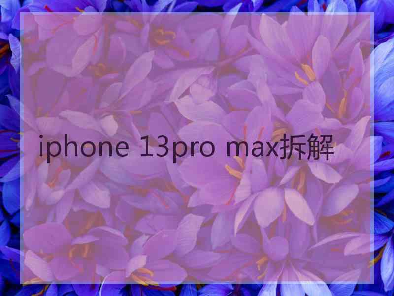 iphone 13pro max拆解