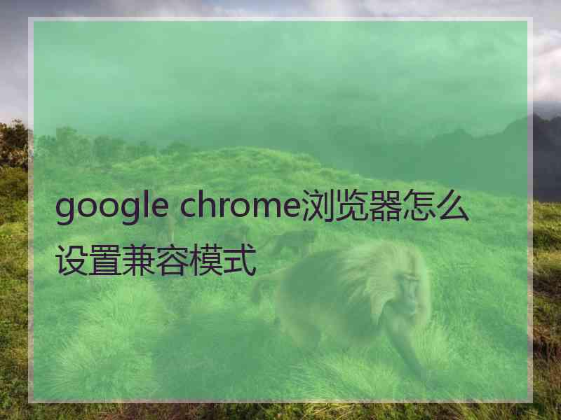 google chrome浏览器怎么设置兼容模式