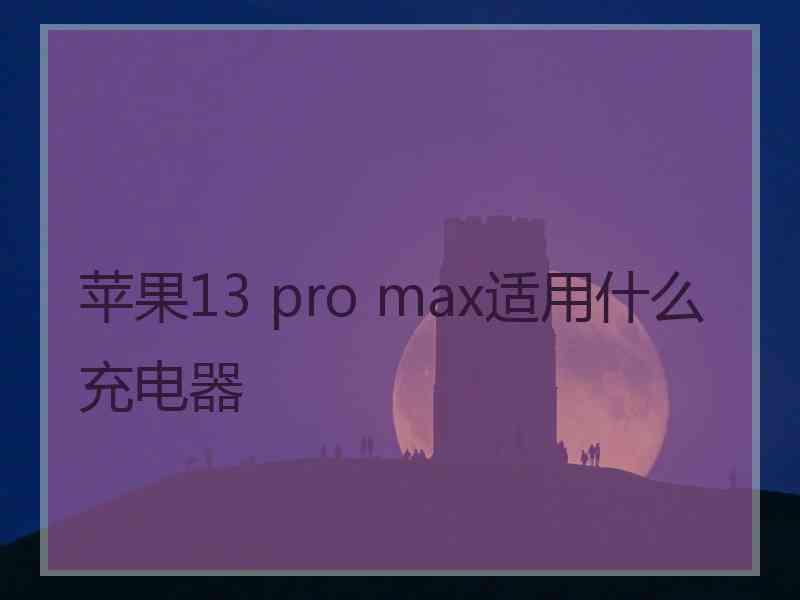 苹果13 pro max适用什么充电器