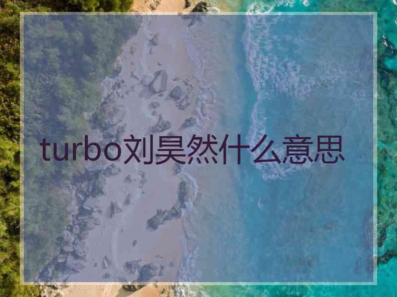 turbo刘昊然什么意思