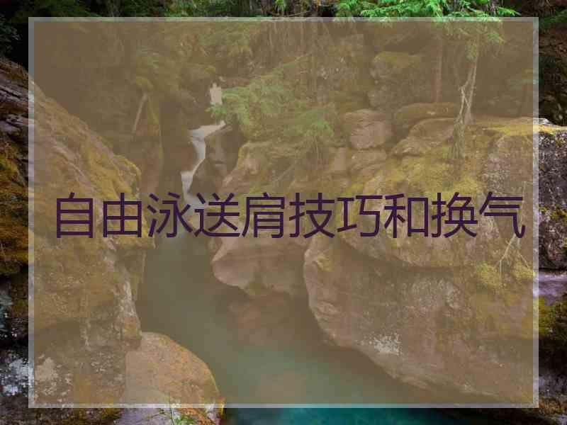 自由泳送肩技巧和换气