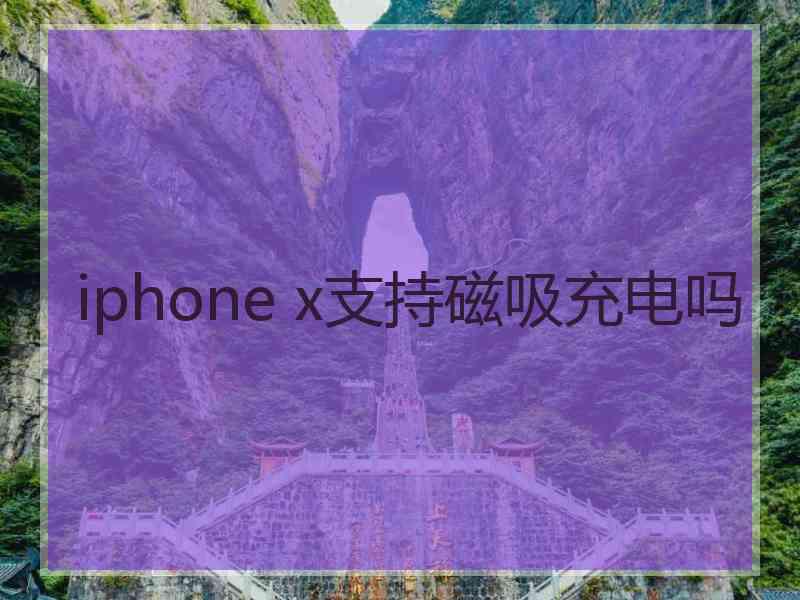 iphone x支持磁吸充电吗