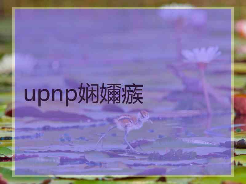 upnp娴嬭瘯