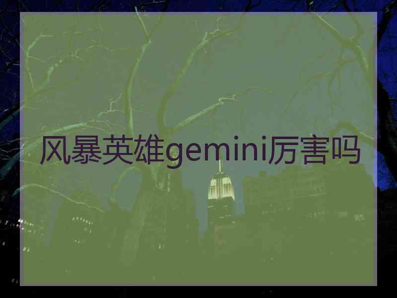 风暴英雄gemini厉害吗