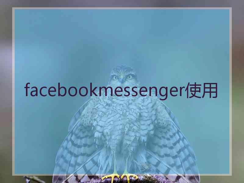 facebookmessenger使用