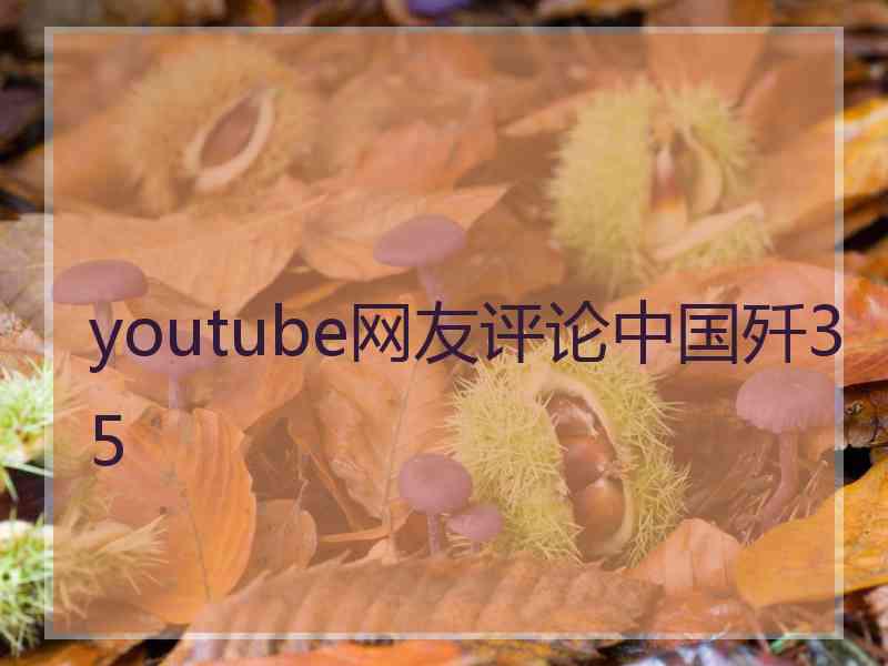 youtube网友评论中国歼35