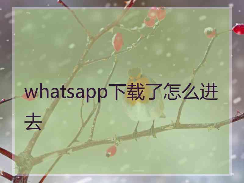 whatsapp下载了怎么进去