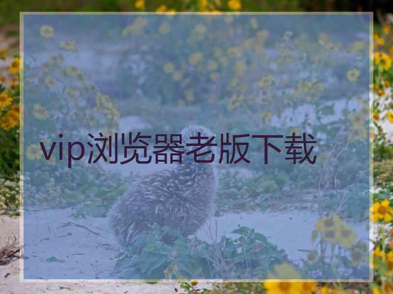 vip浏览器老版下载