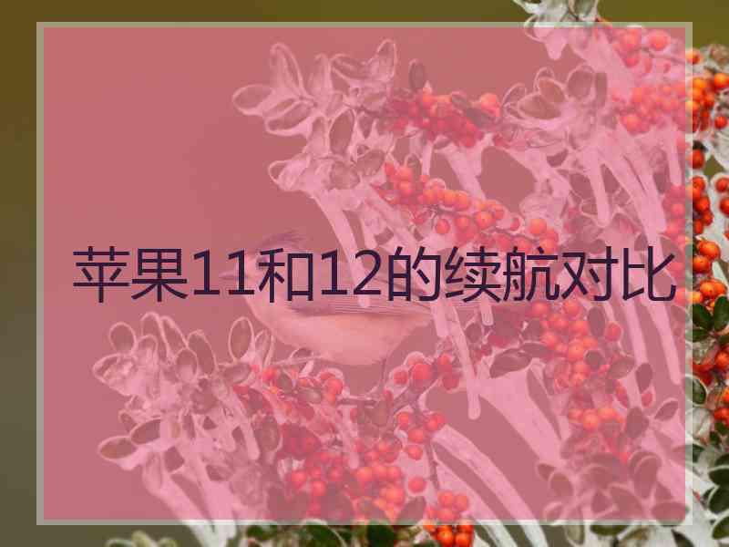 苹果11和12的续航对比