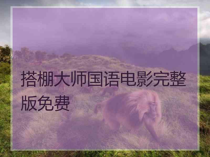 搭棚大师国语电影完整版免费