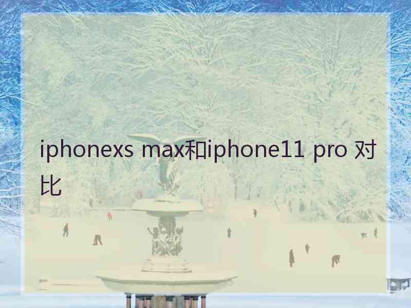 iphonexs max和iphone11 pro 对比