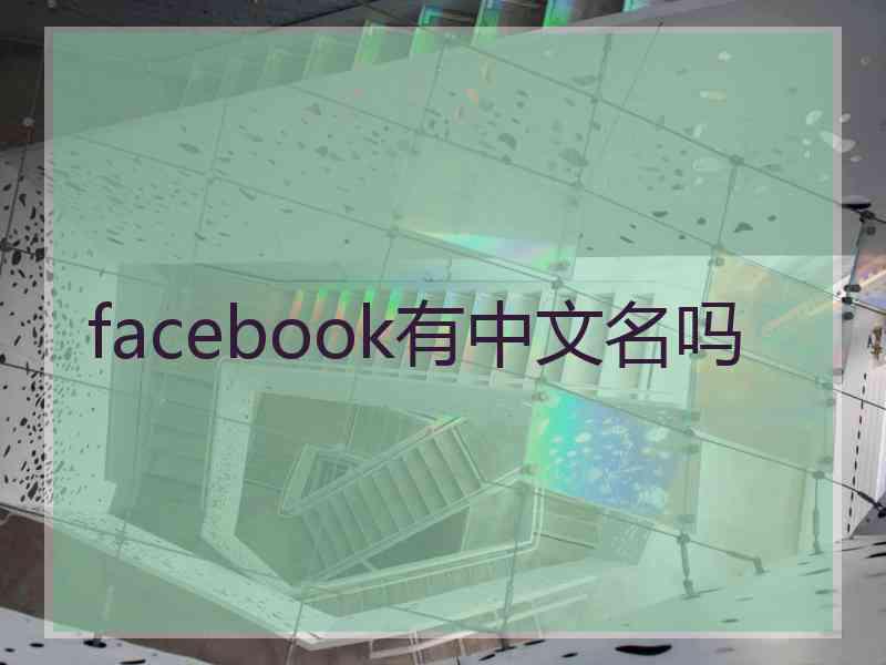 facebook有中文名吗