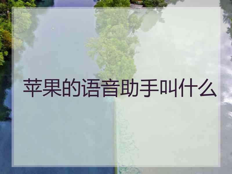 苹果的语音助手叫什么