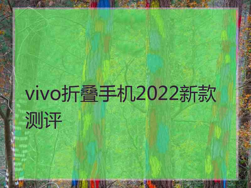 vivo折叠手机2022新款测评