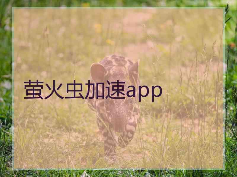 萤火虫加速app